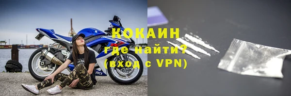 шишки Верея