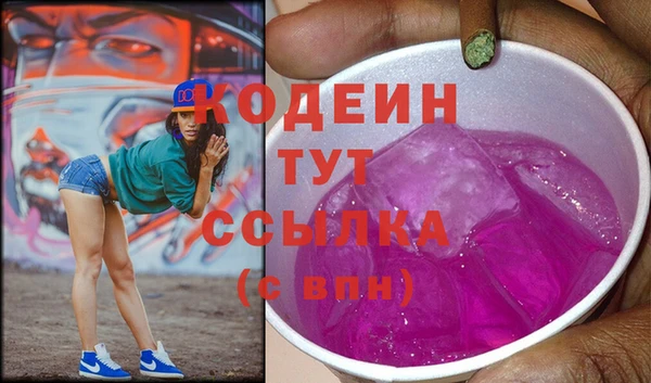 шишки Верея