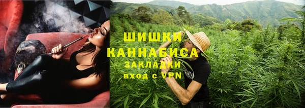 шишки Верея