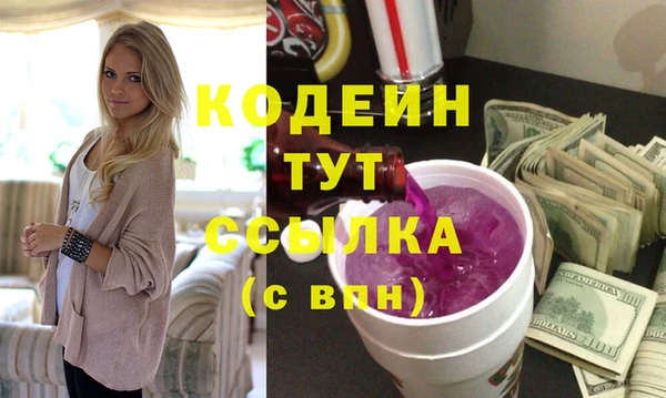 шишки Верея
