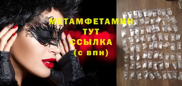 шишки Верея