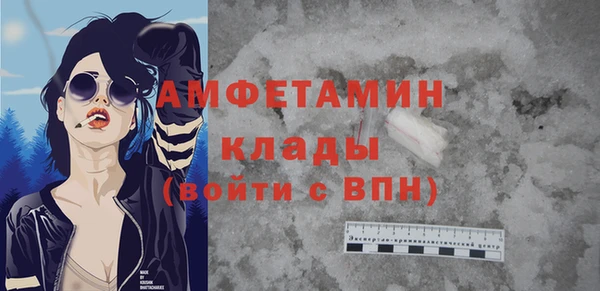 шишки Верея
