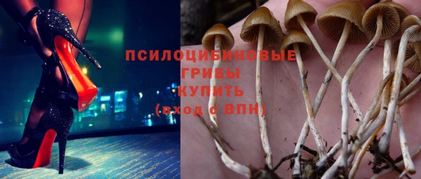 шишки Верея