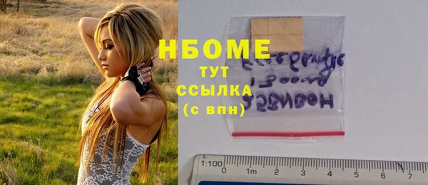 шишки Верея