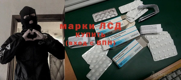 шишки Верея