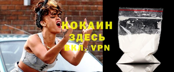 шишки Верея