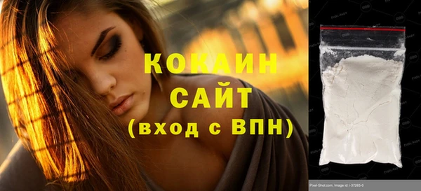 шишки Верея